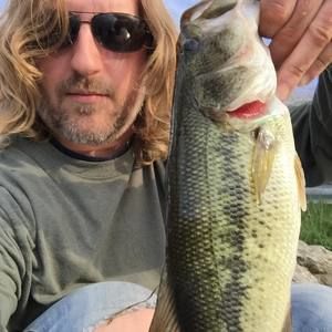 Meet your Posher, Dan